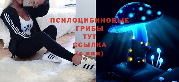 2c-b Бородино