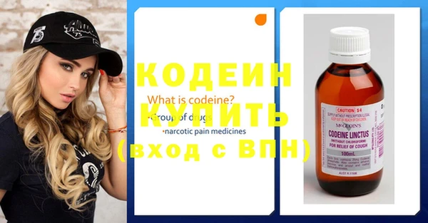 2c-b Бородино